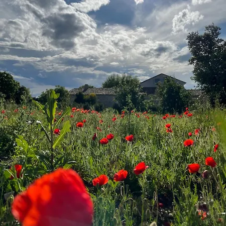 Domaine De La Calamande